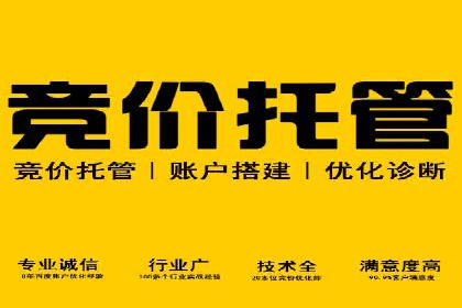 百度推广实战案例：如何精准投放广告